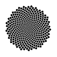 fibonacci's curse