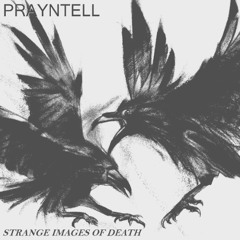 03 Prayntell - SDS (Sudden Death Syndrone)