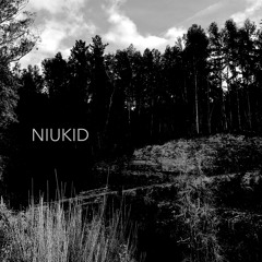 NIUKID - La Bahia (preview01)