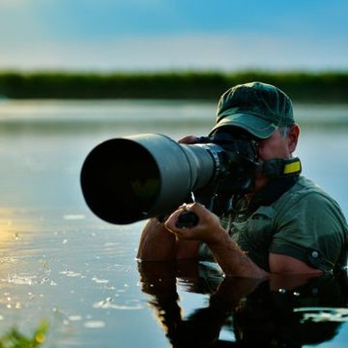 Stream 10 Famous Wildlife Photographers to Inspire You | Andrew Hrsto ...