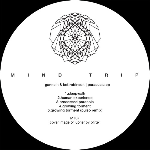 PW PREMIERE | Gannein & Ket Robinson - Human Experience [MT87]
