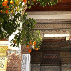 يامركب الهند | حسين محب