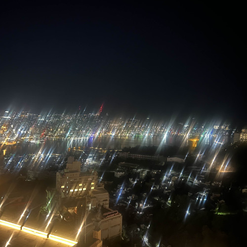 怪獣 - サカナクション