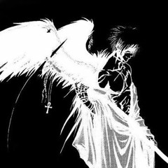 lieless - Living Life In The Night / Feel