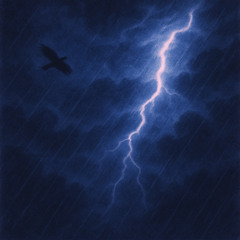 Un oiseau dans la tempête