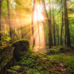 Sunbeams - Soft and Calm Atmospheric Background Music | by Oleg Mazur (Free Download)