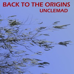 12 - Origins - Album BACK TO THE ORIGINS
