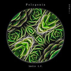 PREMIERE : Polygonia - Lullaby Of Yews [Deflection Music]