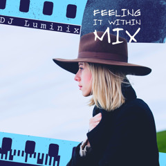 FEELING IT WITHIN - DJ LUMINIX