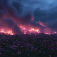 SCORCH