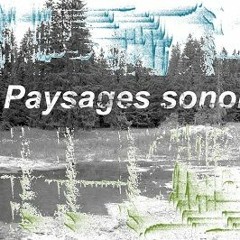 Paysages sonores - Les voies englouties