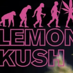 trashin kush lk (prod.Logantoocold)