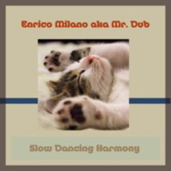 Slow Dancing Harmony