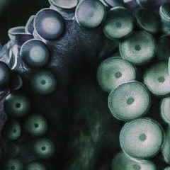 KraaK’nDelic - the Saga Continues