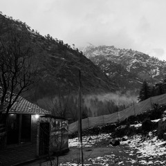 check your oxys for fentanyl