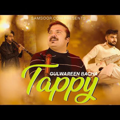 Malali Stargi  Pashto New Tappey 2024  Gulwareen Bacha New Pashto Song  Pashto New Song 2024.mp3