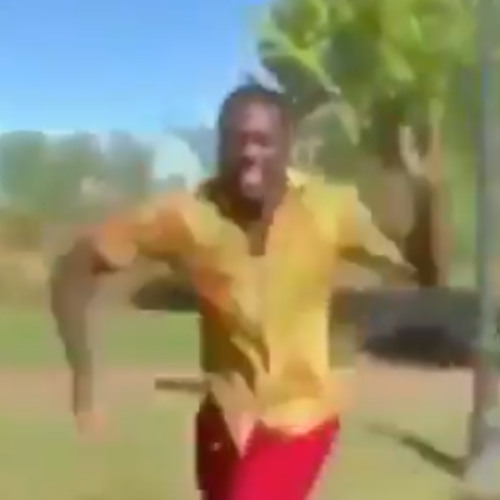 feel free