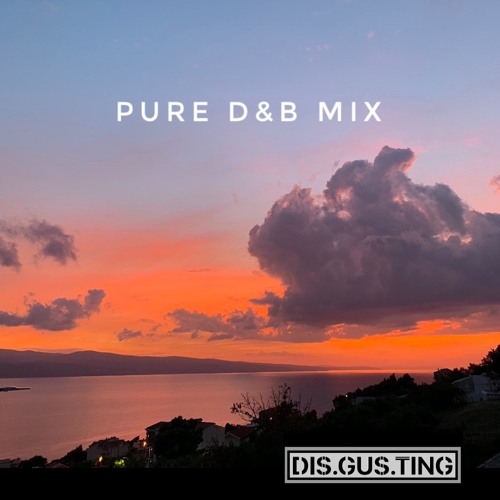 PURE D&B MIX
