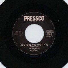 Outsider Oldies - Detroit Funk City  281124