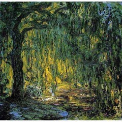 Weeping Willow