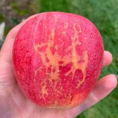 Yeat - Monëy so big MAKINA remix