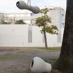 Extract "Borborygme" Sound Installation (2022), collaboration with Raphael Tiberghien
