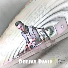 DJ DAVID 全中文慢摇串烧 PRIVATE MIX 2025 V2