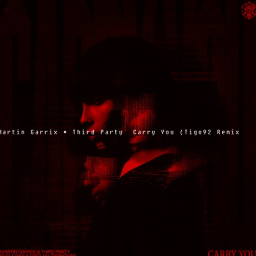 Martin Garrix & Third Party  Carry You (Tigo92 Remix