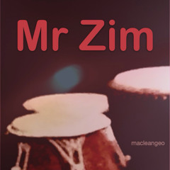 Mr Zim