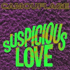 Suspicious Love by Camouflage (TagPassage Remix)