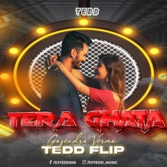 Tera Ghata (TEDD FLIP)