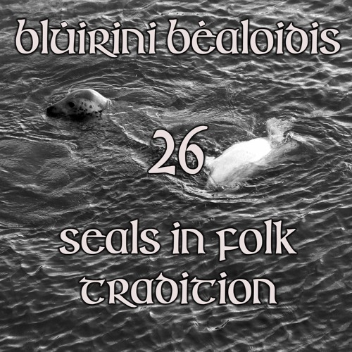 Blúiríní Bealoidis 26 - Seals In Folk Tradition 