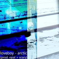 loveboy - arctic (prod. opal x scary)