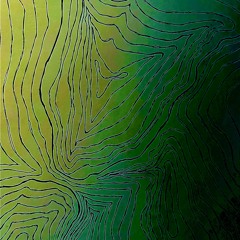 swampp