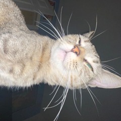 that's my ass bro stop