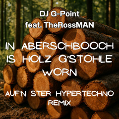 In Aberschboch is Holz g'stohle worn (Auf'n Ster Hypertechno Remix)