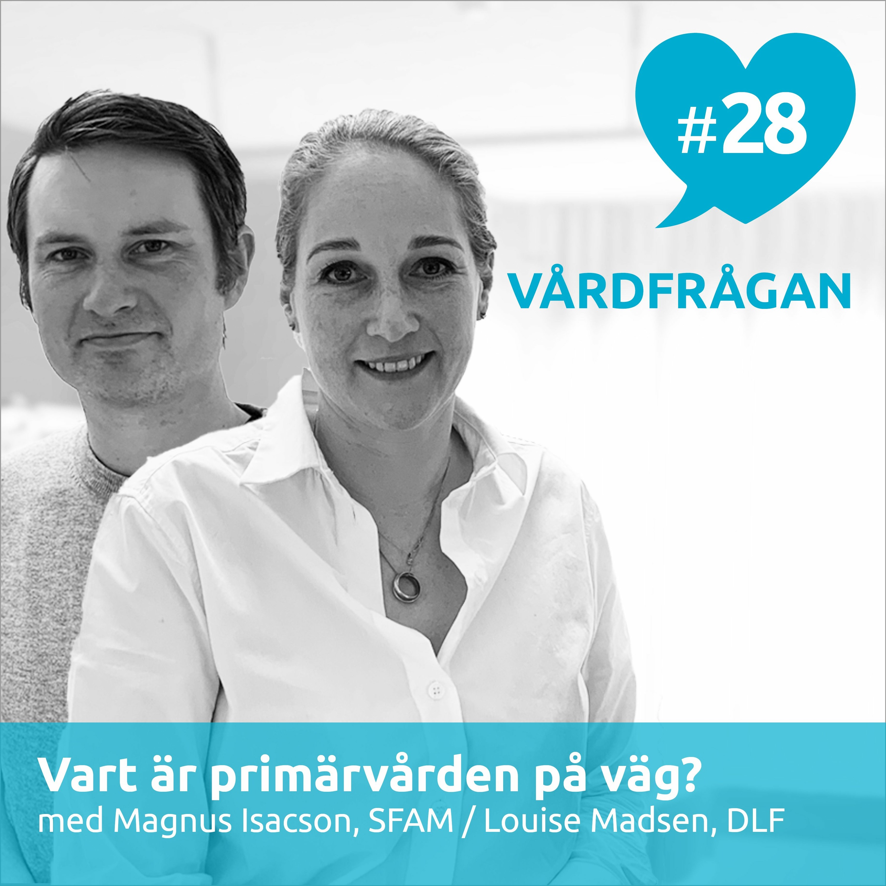 Vårdfrågan