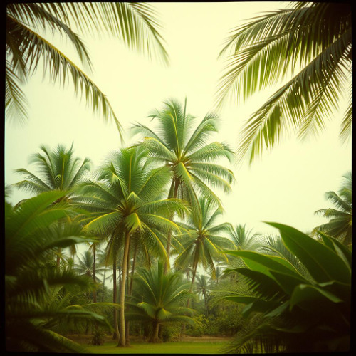 Dj.DamianR - My Refuge Is in You (Inspired by Psalm 7)(Tropical)