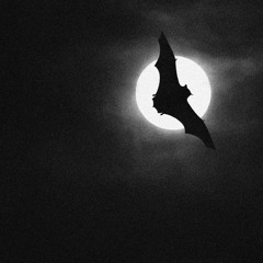 MOON RELatE.wav