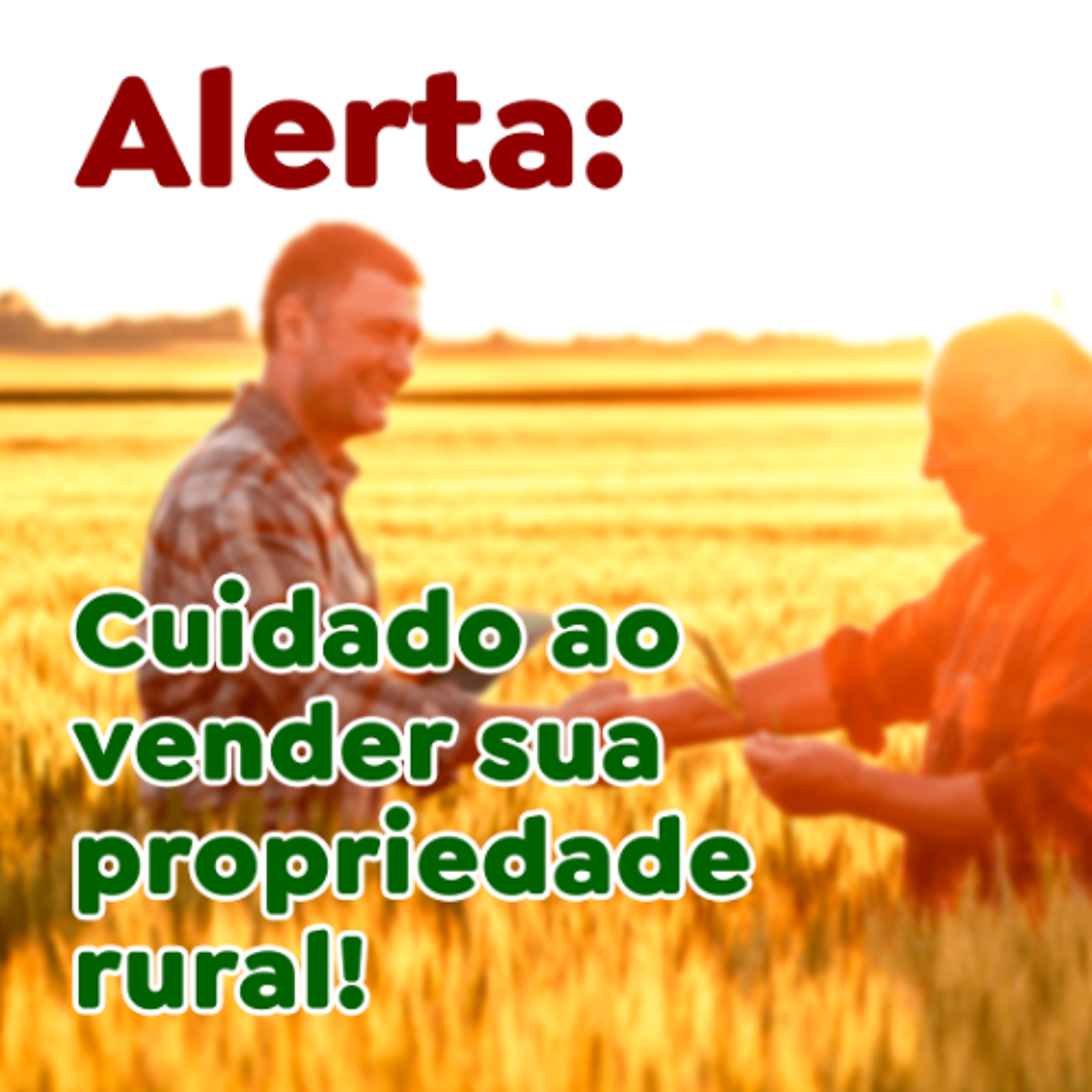 Paracatu Rural - Jornal do agronegócio