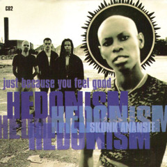 Hedonism (Just Because You Feel Good) (Allegedly Acoustic Mix)