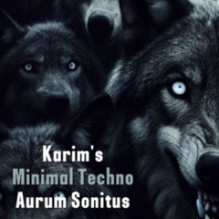 Aurum Sonitus (ⴰⵓⵔⵓⵎ ⵙⵓⵏⵉⵜⵓⵙ) - Minimal Techno