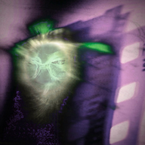 J0LLY (PROD.X A C P T S)