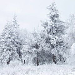 Long Winter