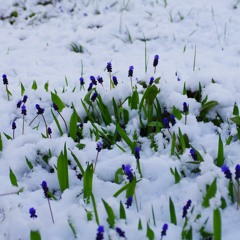 Ja, jag vill ha dig - Hutter Inspiring Group