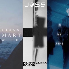 MARTIN GARRIX x ILLENIUM - Lions In The Wild x In My Arms x Poison (JOSS Flip)