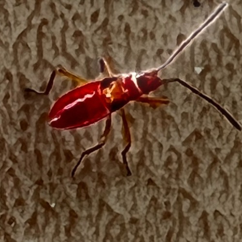 I AM LIVING PROOF - Personal Edit Flow // Remix