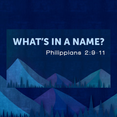 What's in a Name?