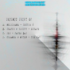 ID005 Seismic Shift - OUT NOW