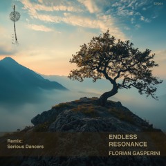 Florian Gasperini - Perpetual Reverberation (Serious Dancers Remix) [FISI]
